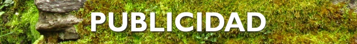 Su publicidad puede ir aquí por muy poco dinero. Consúltenos.