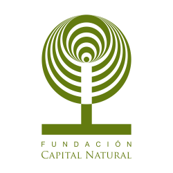 Logotipo de la Fundación Capital Natural